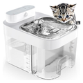 Dual-Tank Automatic Cat Water Fountain