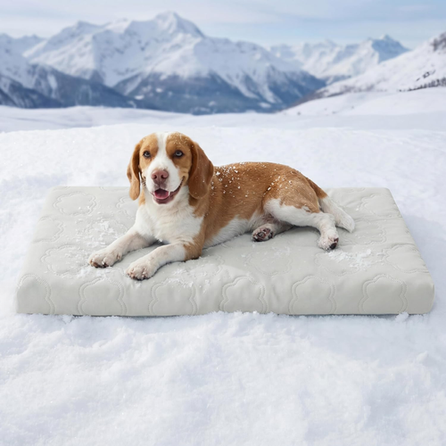 Orthopedic Cooling Dog Bed with Washable Cover