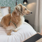 Small Dog Ramp for Bed
